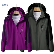 LOGOӡ�ƴ���_�h����Ů������L�����ɽ�����Bñ�L���ٸɷ�ˮ