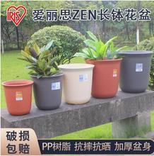 爱丽思树脂ZEN长钵圆形花盆 爱丽丝仿瓷塑料多肉月季盆栽阳台花盆