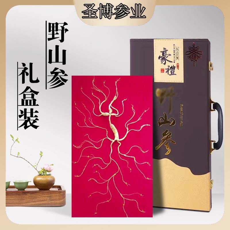 Factory-wholesale Changbai Mountain Wild Ginseng with Certificate, 60 cm, Packed in a Leather Box—Premium Aged Forest-Grown Ginseng, Perfect as a New Year Gift, Available for Drop Shipping