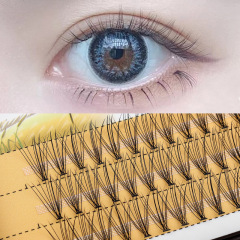Cross-border wholesale scarecrow 0.1 single cluster grafted false eyelashes, natural and soft 10 simulated implanted hot-melt hairs