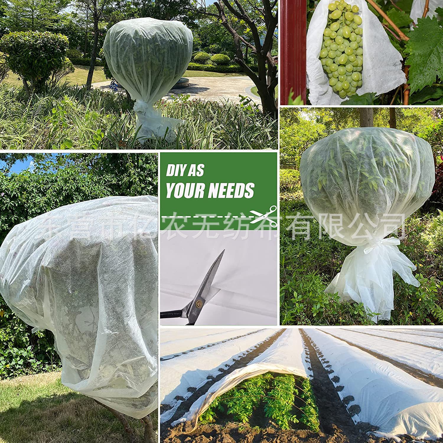 O1CN01G6xrXh1bWgWapxOMS_!!2924243473-0-cib.jpg?__r__=1725867460723