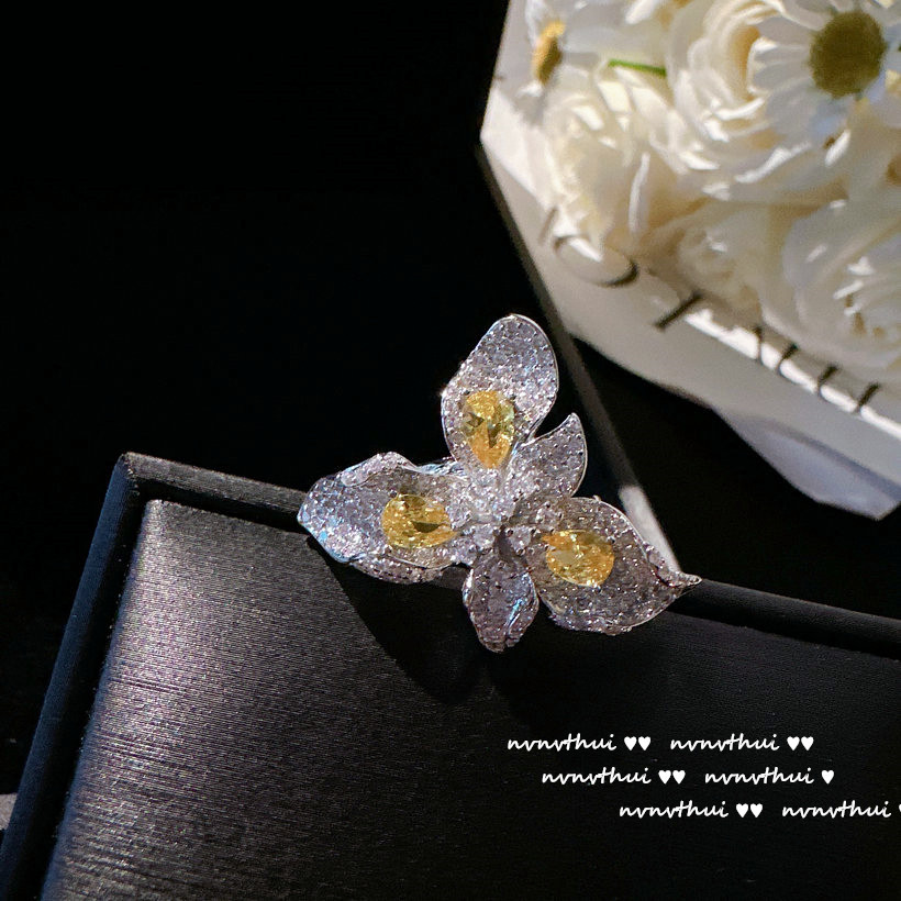 IMG_9156(20230213-213206)