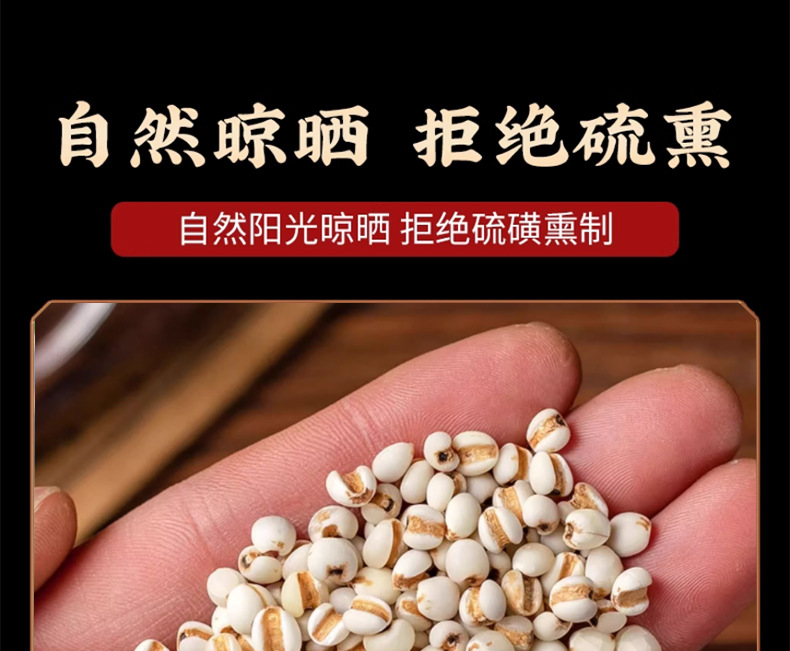 Coix Seed Yi Yi Ren 500g Dried Job's Tears Herbal Tea Ingredient Guizhou New Crop preparation