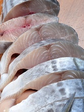 【顺丰包邮】大鲅鱼马鲛鱼新鲜鲜活冷冻野生鲅鱼段海鱼海鲜包邮