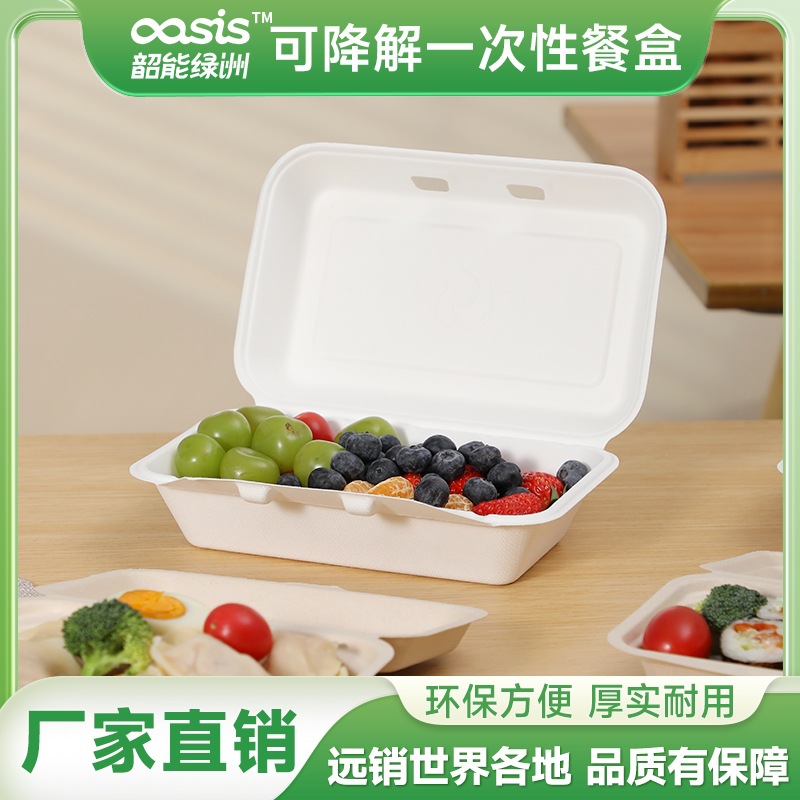 Caja de bloqueo de pulpa de caña de azúcar verde fábrica al por mayor protección ambiental vajilla desechable cartón de pulpa compostable degradable