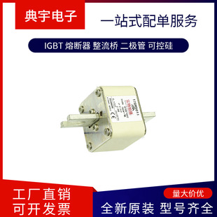 Fuse 170m6924 6925 6926 6927 6928 6929 6930 Complete Models