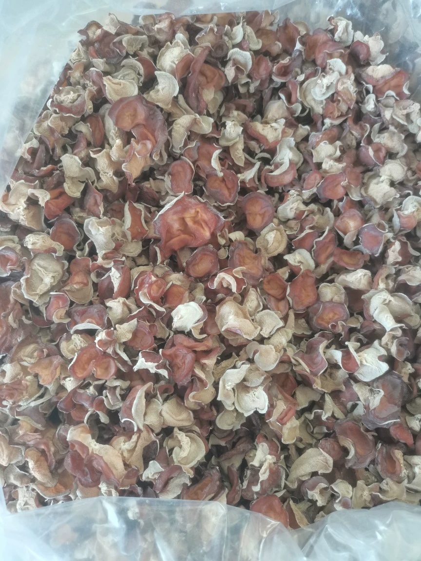 Розовый гриб Сушеный отель Банкет