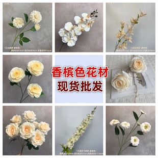 ���滨�㙉ɫϵ���� ��c���Ż�·��������������õ�彑������m