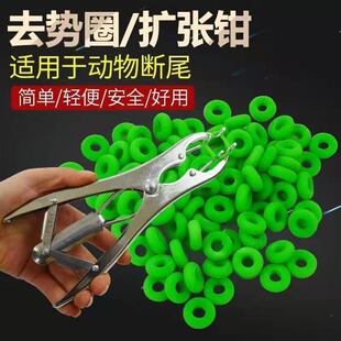 ���P����Ô�β�QȦ����ȥ��Ȧ�Q�U���Q���i��ȥ���Q�oѪ��βȦ�Q
