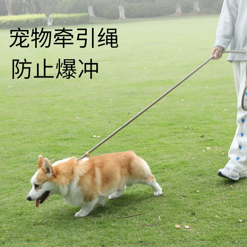 Собака поводок, болт, цепь, шея, маленькая собака среднего размера, взрывозащищенная, Тедди, товары для животных оптом