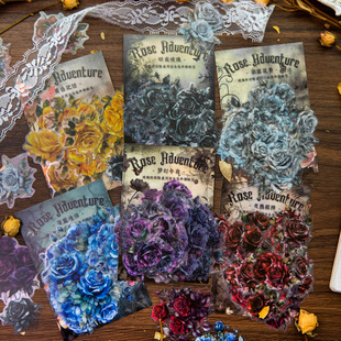 �Լ�õ���ð�U����PET�N���� �͹�����õ�����~DIY�b�ƴ�N30��