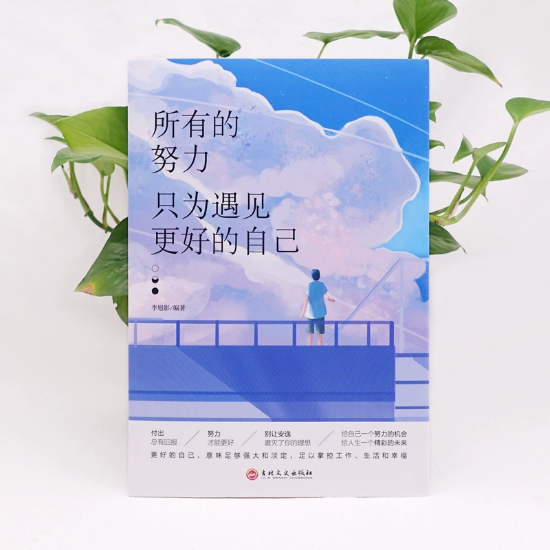 Книга вдохновляющая — «Все усилия, чтобы встретить лучшую версию себя», истории молодежной борьбы для самосовершенствования