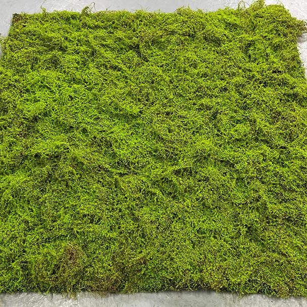 Coconut granular moss