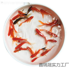 С���~���^�p�~��ˮ�ͻ���B�~��ˮ�t���\�����~С���~���~���~