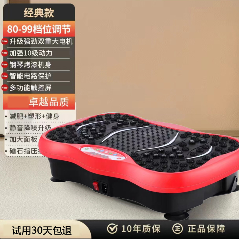 ミニ家庭用の振り子機の震え機の怠け者の振り子機の知能の振動のフィットネスの立式の震え機|undefined