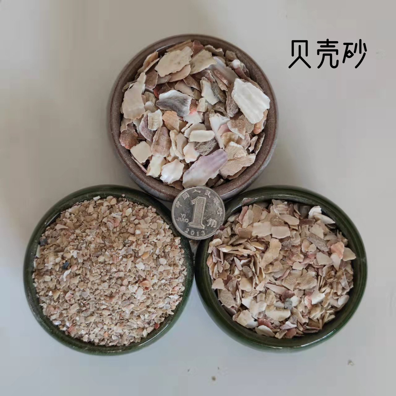 厂家直发 贝壳砂 禽畜饲料用高钙贝壳砂 铺面铺底用贝壳砂