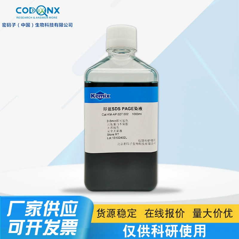 SDS PAGE Быстрый белковый краситель WB Экспериментальный белок биохимический эксперимент завод поставки