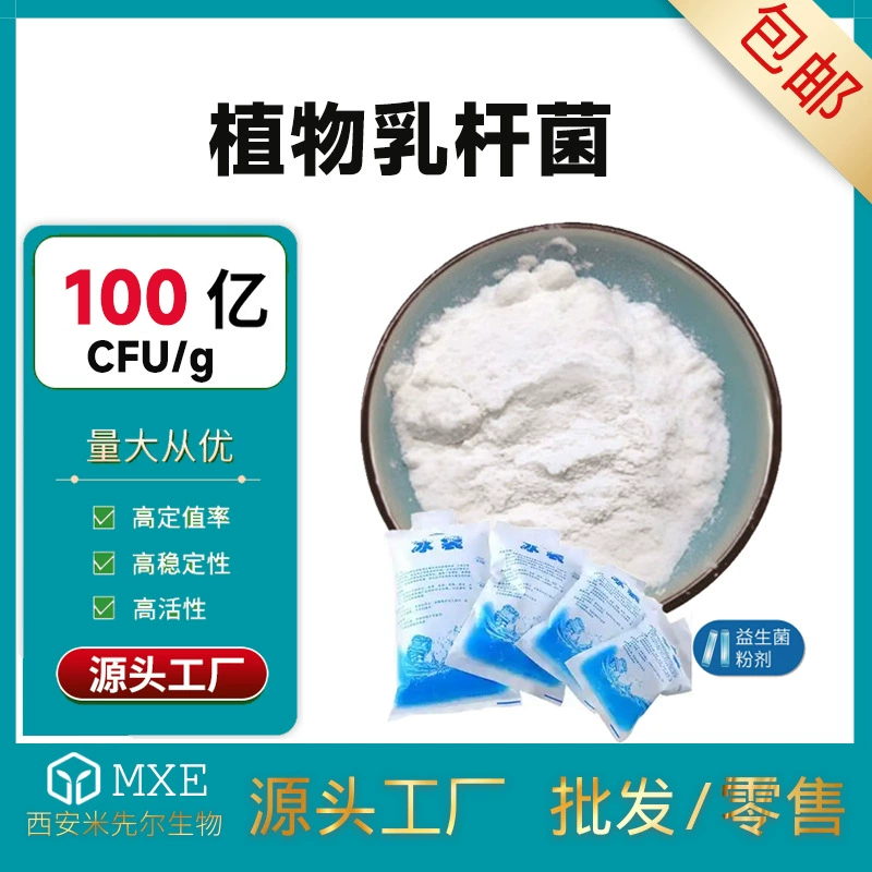 Растительные Lactobacillus 100 млрд/г молочнокислых бактерий лиофилизированный пробиотический порошок пищевой спот