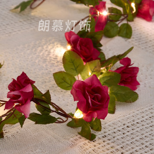 �羳��Ʒled̫����ٗl�����泣����õ�廨�����~����늳غвʟ�