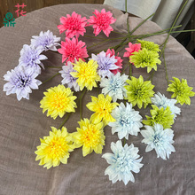 3^5^˾  YFڔ[ ƵÔ[O廨ٻ