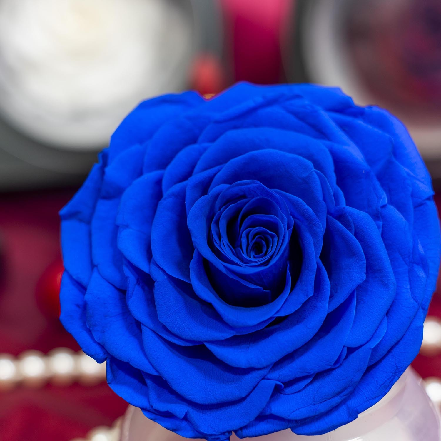 Yunnan Kunming Yongsheng Flor al por mayor 9-10cmA hecho a mano DIY flores regalos de Navidad con flores y flores