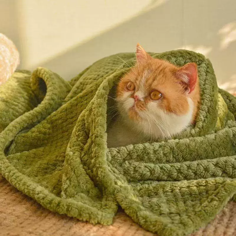 宠物毛毯垫子狗狗珊瑚绒毯子被子猫咪加厚小毛毯睡垫盖毯宠物毯