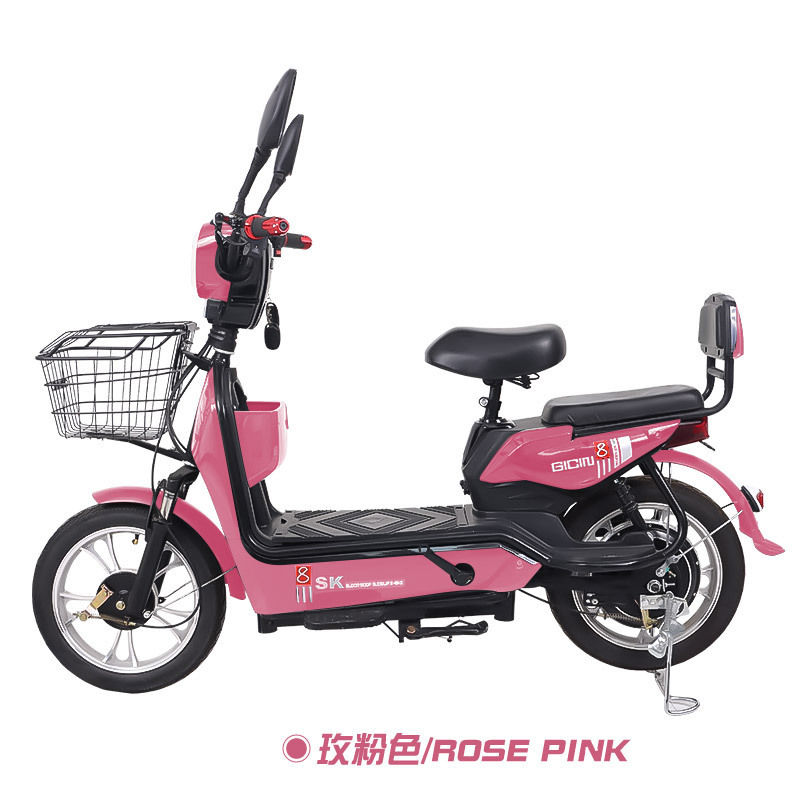 Mayorista de dos ruedas adultos larga duración transfronterizos adultos viajeros doble bicicleta eléctrica bicicletas coche de batería