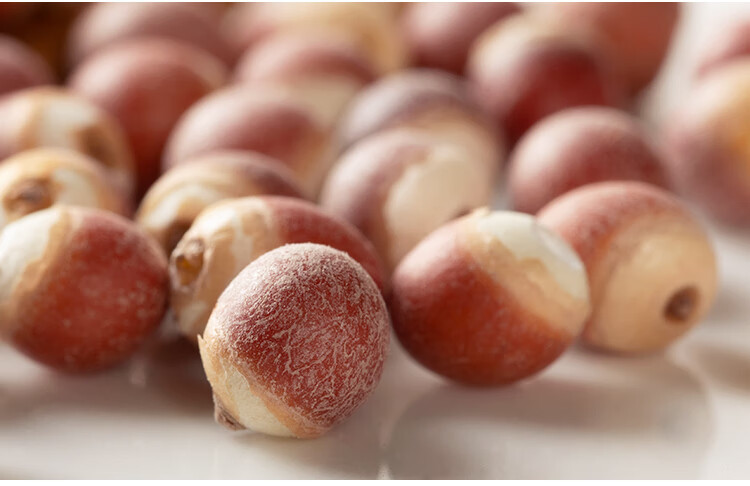 Dried Gorgon Fruit Seeds Qian Shi 500g Euryale Ferox Fox Nuts for Soup Congee and Herbal Tea in use