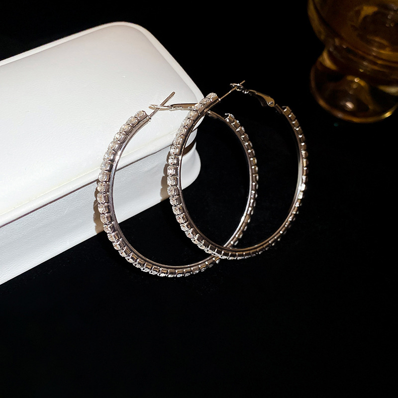 Aguja de plata viento frío, orejeras redondas con incrustaciones de diamantes, pendientes de diseño exagerado de nicho, pendientes de moda femenina, lujo ligero, sentido de alta gama