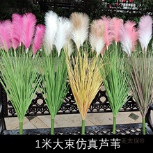 ���JȔ�݅���ɫ�ɻ��ײ���ë�Gֲ�쾰��Y���üٻ��[�O��ˇ��̫��