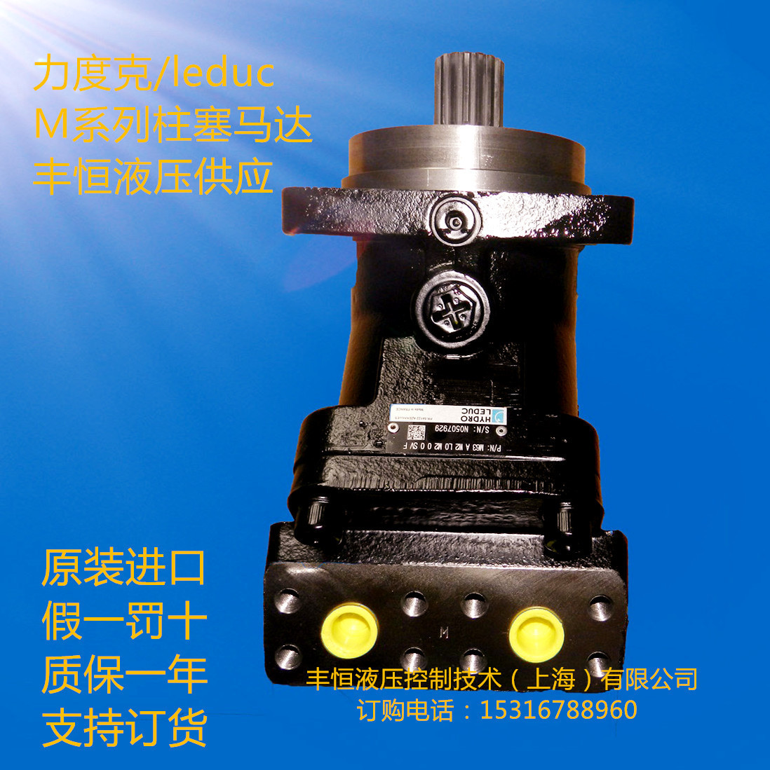 进口力度克hydro leduc行走液压马达/柱塞液压旋转马达