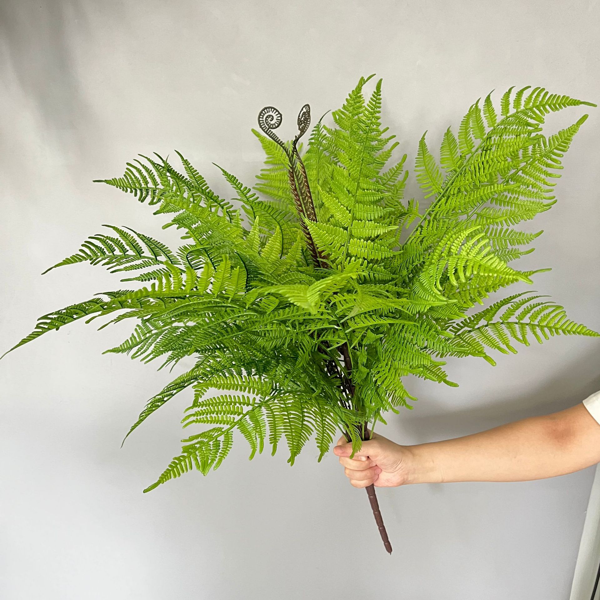 18 cây dương xỉ lớn dương xỉ xanh mô phỏng cao dương xỉ thận dương xỉ lớn nhựa mềm cây xanh cảnh tường