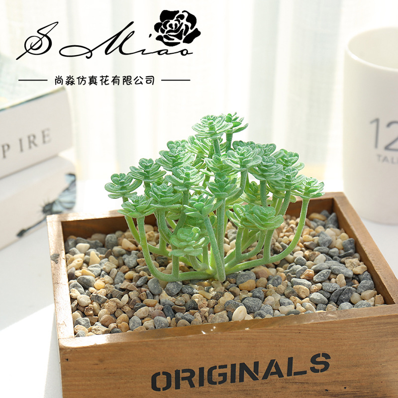Simulated succulent cactus small green plant wholesale plant factory direct supply DIY accessories decoration drop shipping fake flowers