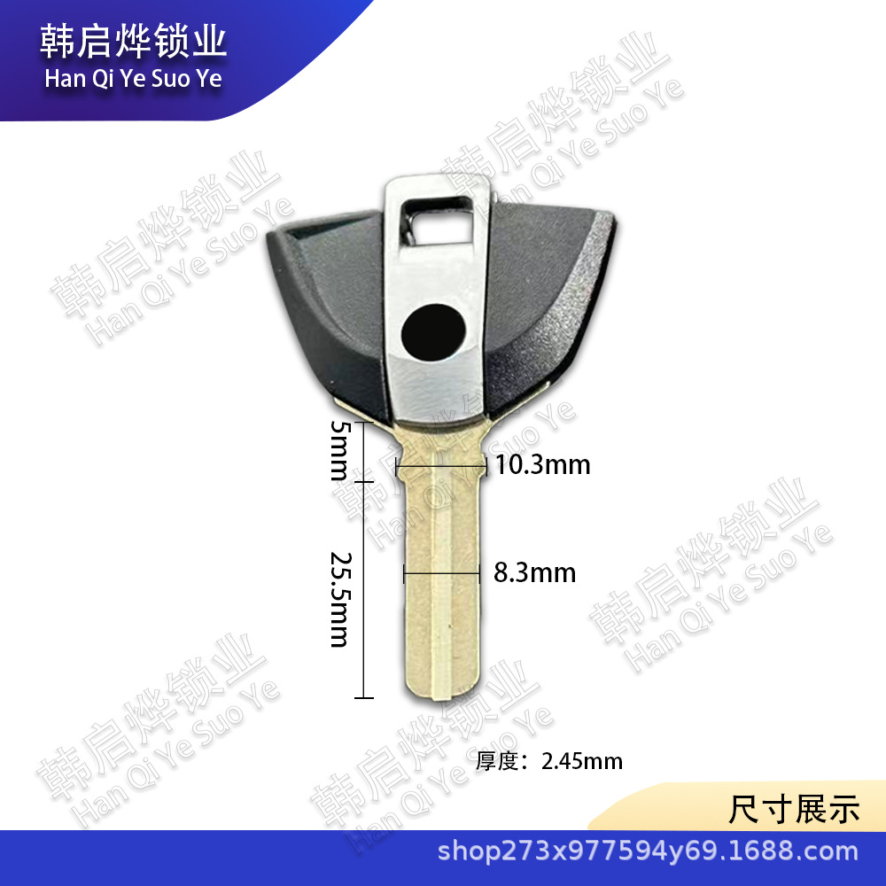Suitable for Baofu F650 F700 F800Gs R1000Rr R1200Gs Motorcycle Chip Key Embryo