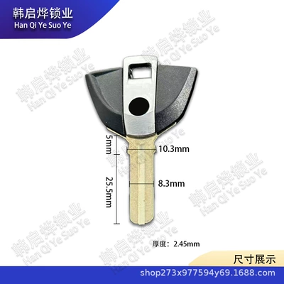 Suitable for Baofu F650 F700 F800Gs R1000Rr R1200Gs Motorcycle Chip Key Embryo (Motorcycle Key) - bmw-113-black-305186245mm