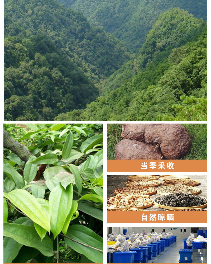 Poria Fu Ling Cubes 500g Dried Poria cocos White Herbal Slices for Decoction and Soup quality and texture