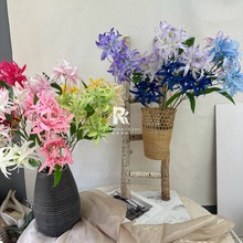 ���滨3�^�˰����ٻ��L���m����ɳ�A��c�bh�����L���յ�����