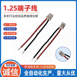 厂家供应 1.25mm间距红黑端子线 2pin 充电仓连接线端子线耐高温