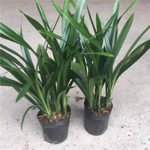 �N�ۻ����m���������m����ī�m���m���m�ļ��m���҃Ȼ��ܾGֲ����