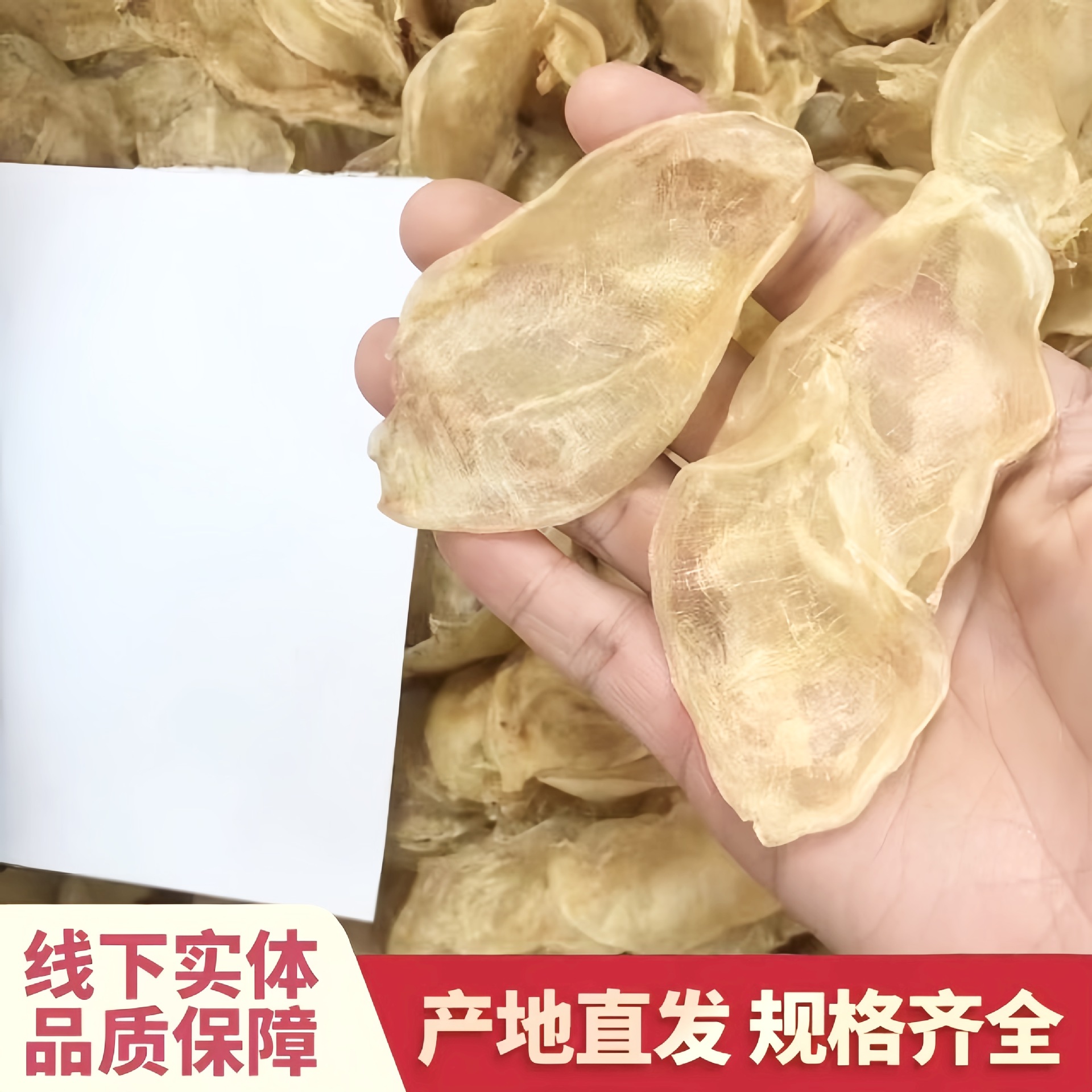 鸡蛋胶批发鲈鱼胶鱼胶干货批发花胶滋补养生一手货源滋养煲汤
