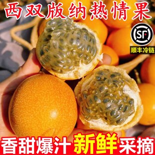 ������p��{��������r5�ﮔ���r���خa�ЋDˮ���S����������