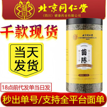 北京同仁堂内廷上用系列茵陈泡水喝悦长健茵陈泡茶100g批发代发