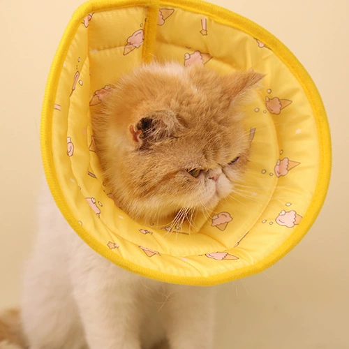 Кольцо Элизабет Ошейник для стерилизации кошек Антиоблизывающий кошачья Шея Воротник для кошачьей шеи Шея Кошачья Шея Чехол для кошачьей шеи Товары для животных