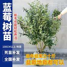 Ϸ{ݮԵش̖f6ͺ̨СԺY