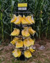 客厅立式榴莲新款架旋转金属香蕉超市串网红香蕉陈列架挂架创意