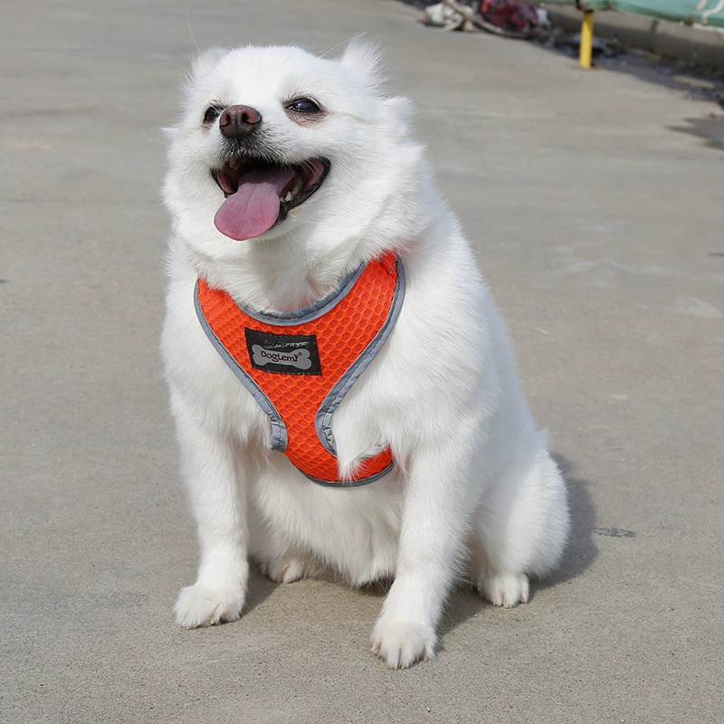 Заводская прямая Светоотражающая дышащая сетка для собак, задняя крышка для маленьких и средних собак, тяговый трос, Тяговый ремень для домашних животных