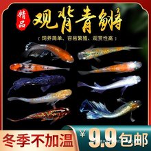 �۱�������������ˮ����ħ����С�ͽ�����㵭ˮ�㲻������������