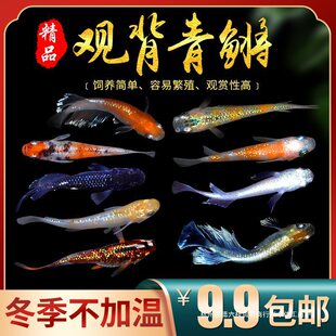 �^�����F�^�p�~��ˮ�~��ħ���~С���\�����~��ˮ�~���������B���w