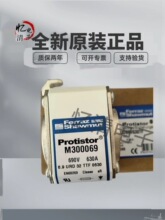 M300069 P300071 Q300072 Y300079 C300083 PROTISTOR�۶���