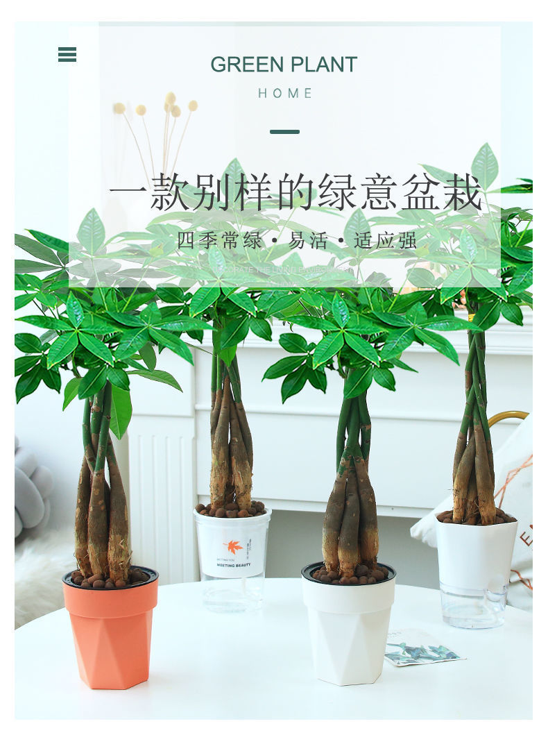 gm6WifKnzdTvlDvRUnfQcz4BJhfMv35YZPPs